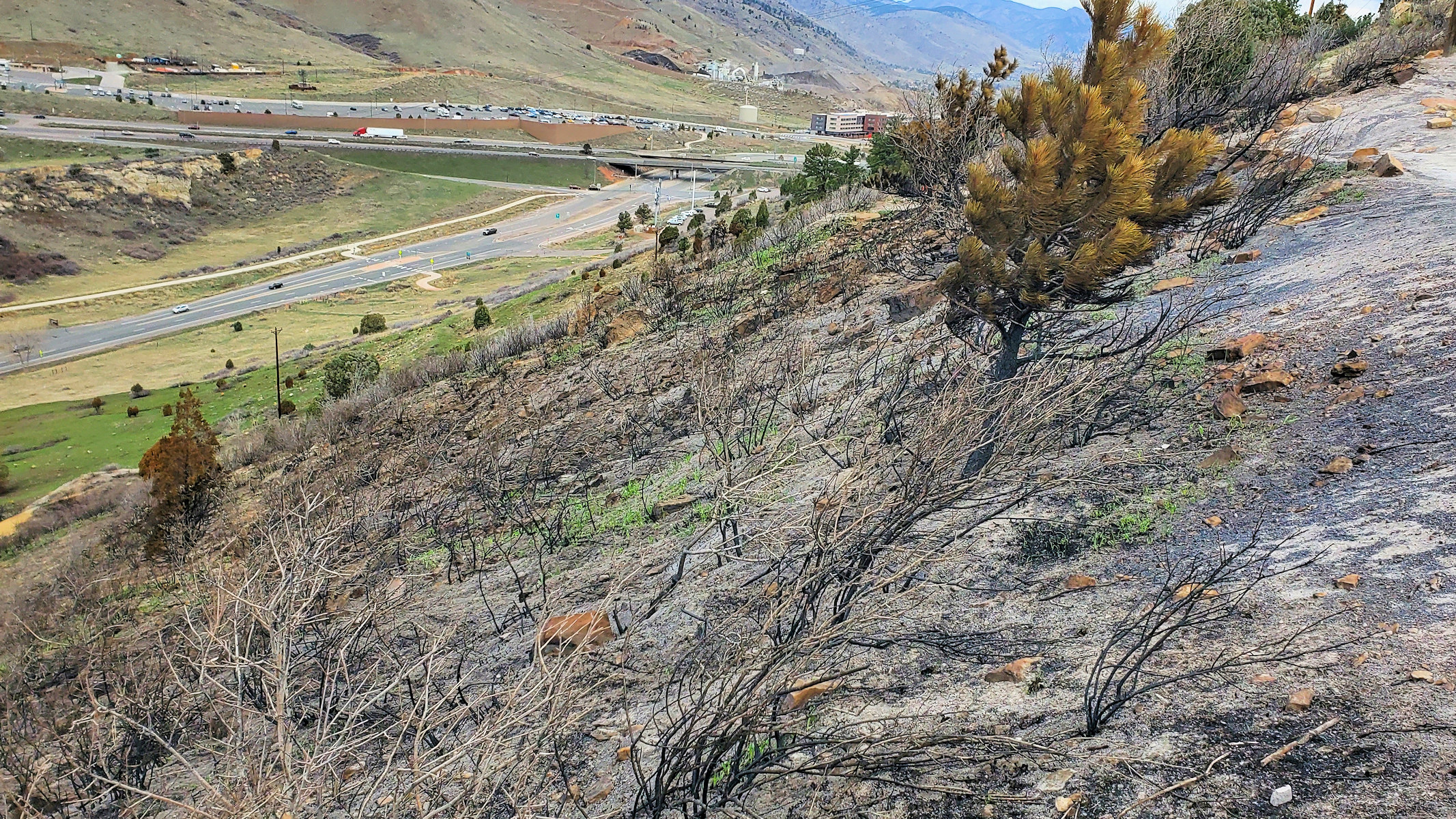 Colorado, Jefferson County, Dinosaur Ridge, Hogback Fire