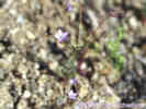 Full Size Image