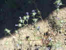 Full Size Image