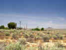 Full Size Image