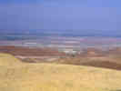 Full Size Image