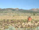Full Size Image