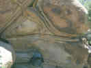 Full Size Image