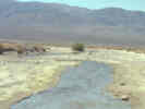 Full Size Image