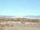 Full Size Image