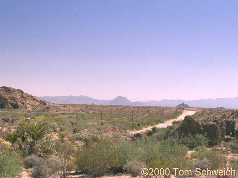 Looking south into Fenner Valley from the vicinity of Hackberry Mountain and Vontrigger Spring