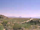 Full Size Image