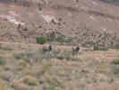 Full Size Image