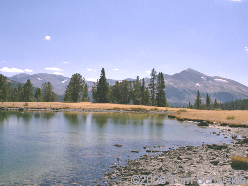Glacial lake at Tioga Pass