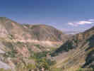 Full Size Image