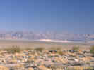 Full Size Image