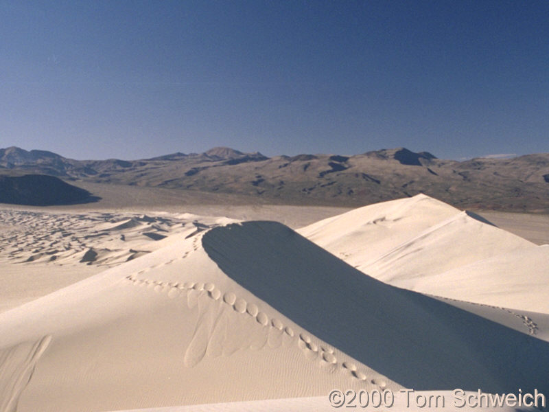 The crest of the Eureka Dunes.