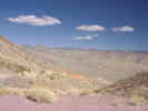 Full Size Image