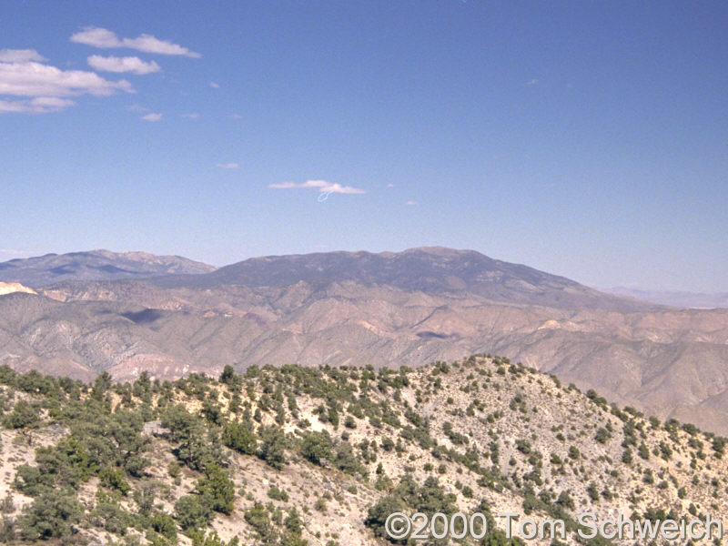 Magruder Mountain, as seen from the Last Chance Range to the southwest.