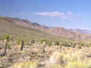 Full Size Image