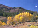 Full Size Image