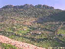 Full Size Image