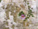 Full Size Image