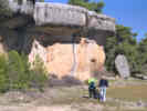 Full Size Image