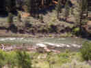 Full Size Image