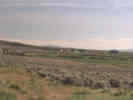 Full Size Image