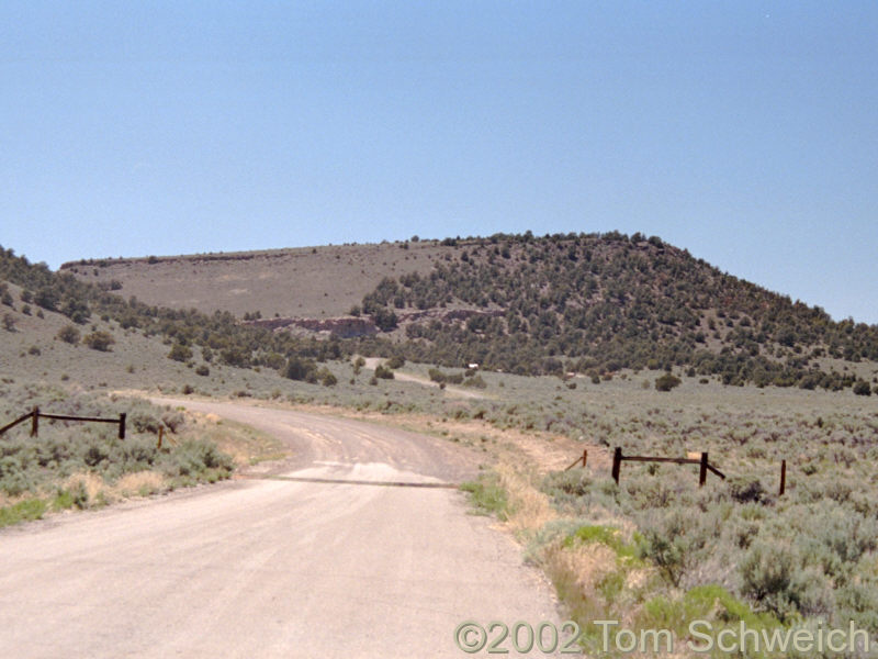 Sagebrush, Pinyon and Juniper at Hickison Summit
