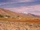 Full Size Image