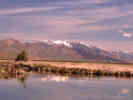 Full Size Image
