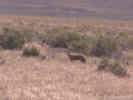 Full Size Image