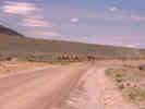 Full Size Image