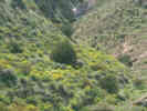 Full Size Image