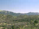 Full Size Image