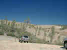 Full Size Image