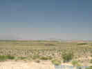 Full Size Image