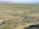 Full Size Image