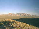 Full Size Image