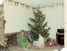 Full Size Image