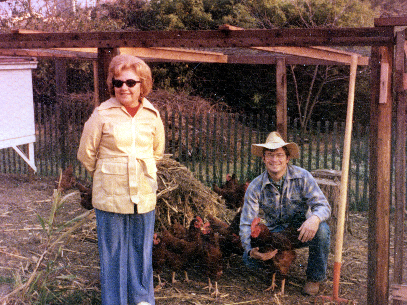 California, Alameda County, Oakland, Chickens