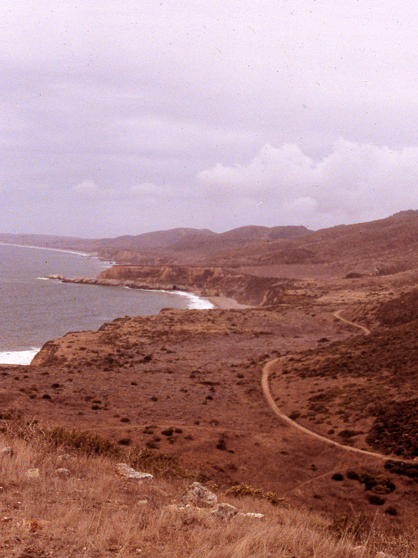 California, Marin County, Point Reyes National Seashore, Wildcat Beach