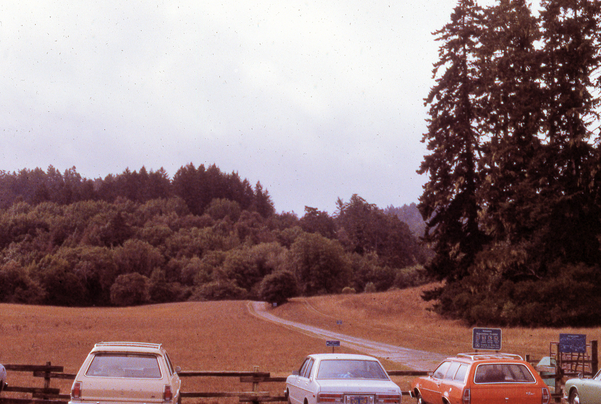 California, Marin County, Point Reyes National Seashore, Bear Valley