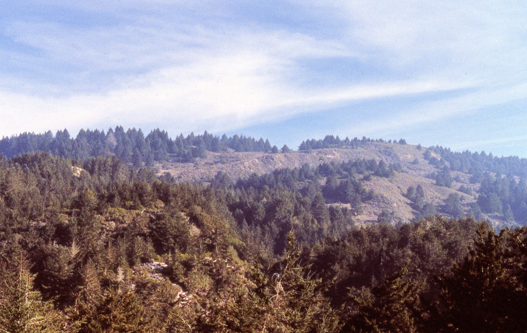 California, Marin County, Point Reyes National Seashore, Lake Ranch