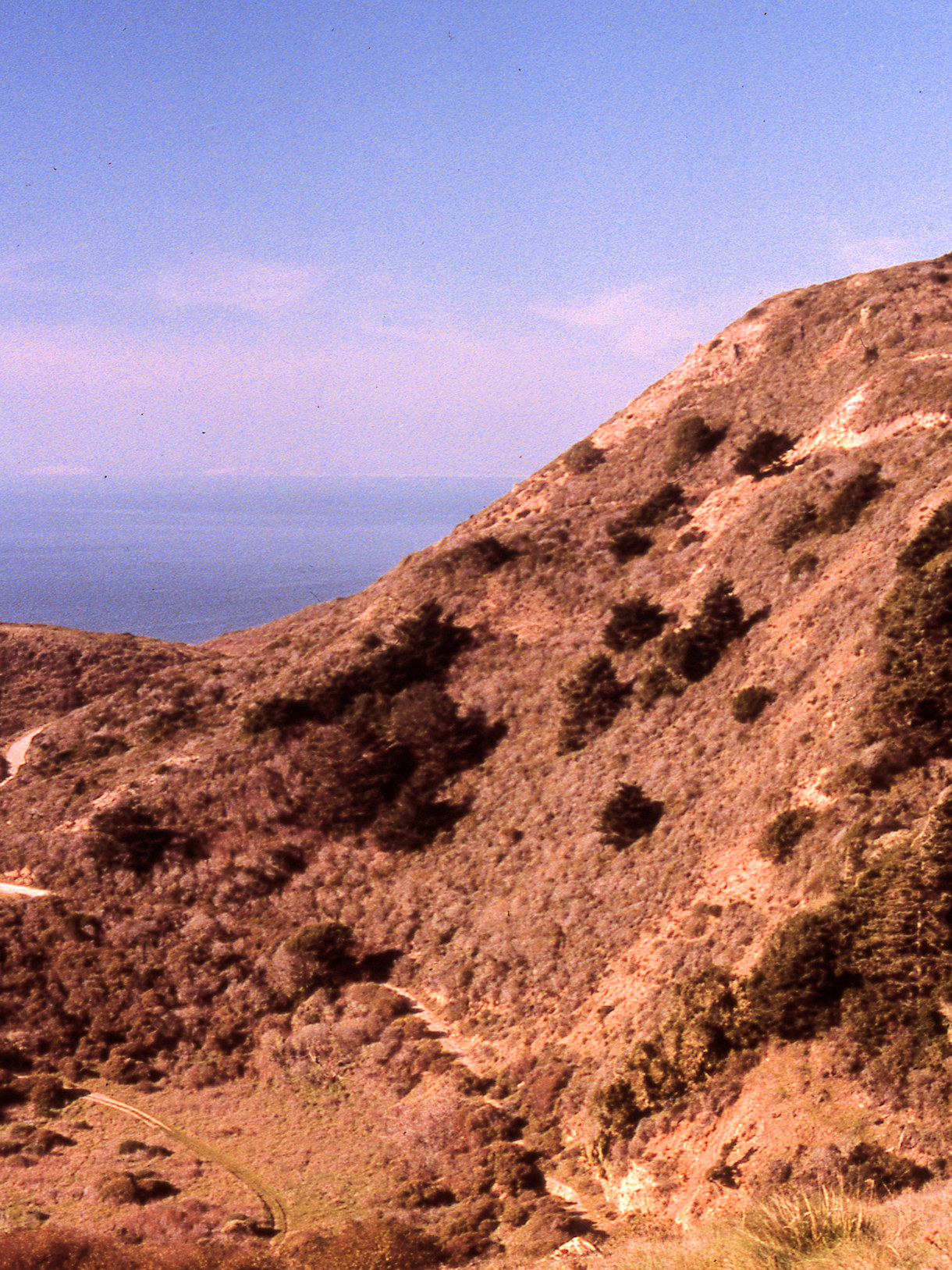 California, Marin County, Point Reyes National Seashore, Alamere Creek
