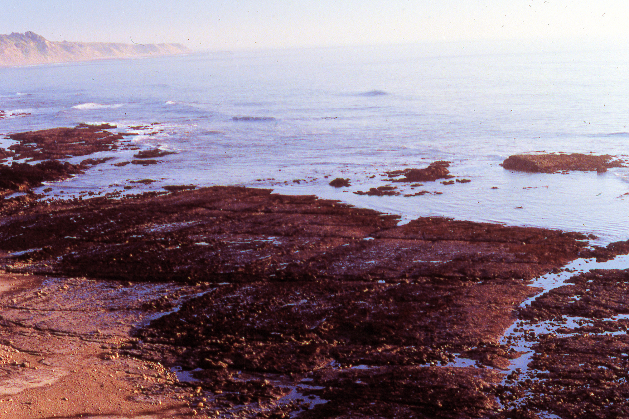 California, Marin County, Point Reyes National Seashore, Pelican Lake