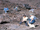 Full Size Image