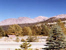 Full Size Image