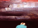 Full Size Image
