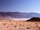 Full Size Image