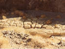 Full Size Image