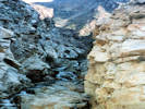 Full Size Image