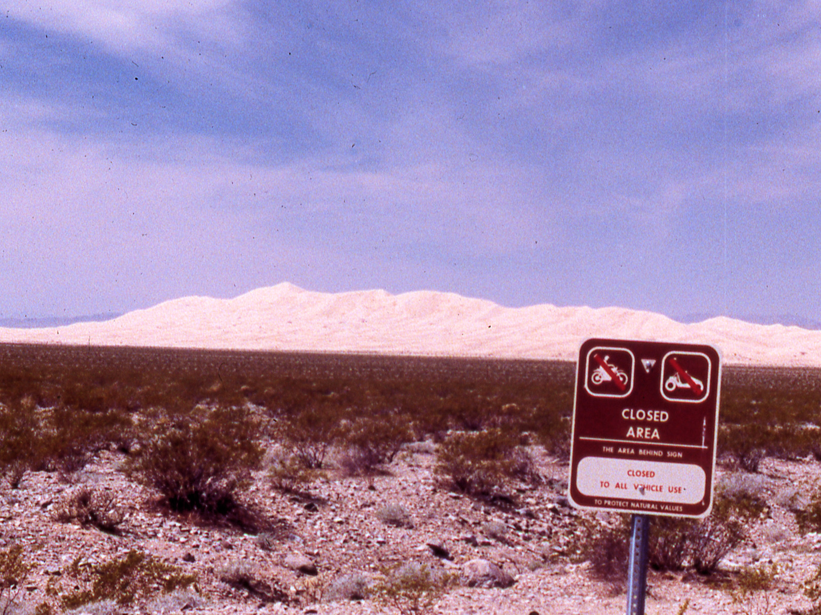 California, San Bernardino County, Kelso Dunes